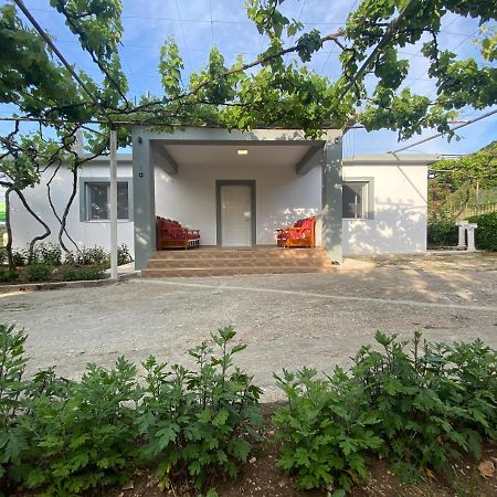 Progon House Hotel Tepelena Kültér fotó